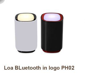 Loa BLuetooth In Logo Ph02