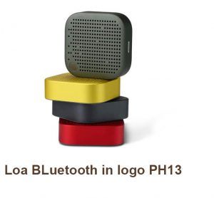 Loa BLuetooth In Logo Ph13