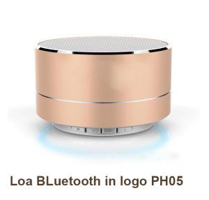 Loa BLuetooth In Logo Ph05