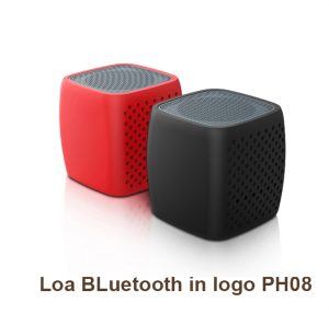 Loa BLuetooth In Logo Ph08