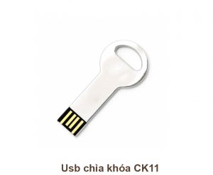 USB Chìa Khóa CK11