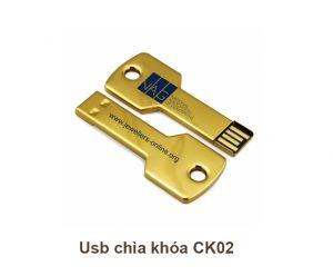 USB Chìa Khóa CK02