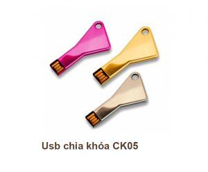 USB Chìa Khóa CK05