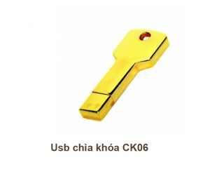USB Chìa Khóa CK06