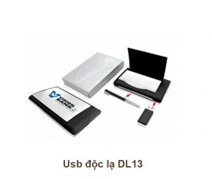 USB Độc Lạ DL13