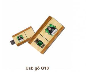 USB Gỗ G10