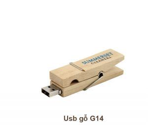 USB Gỗ G14