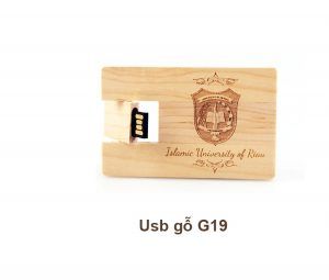 USB Gỗ G19