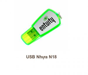 USB Nhựa N18