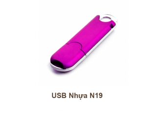 USB Nhựa N19