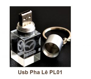 USB Pha Lê PL01