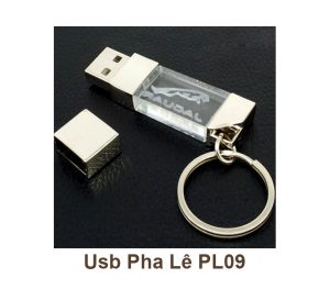 USB Pha Lê PL09